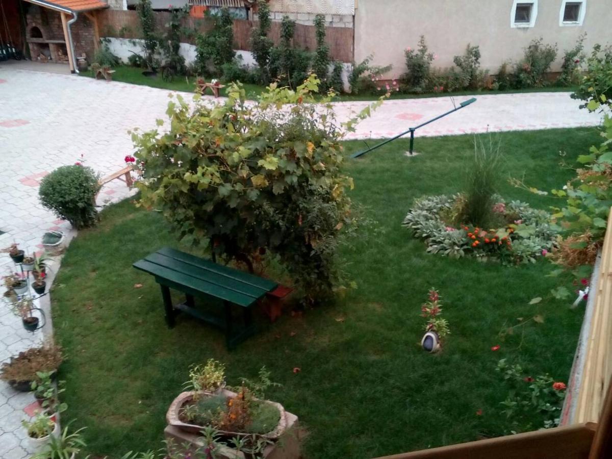 Guest House Vila Banjica Pirot Zewnętrze zdjęcie