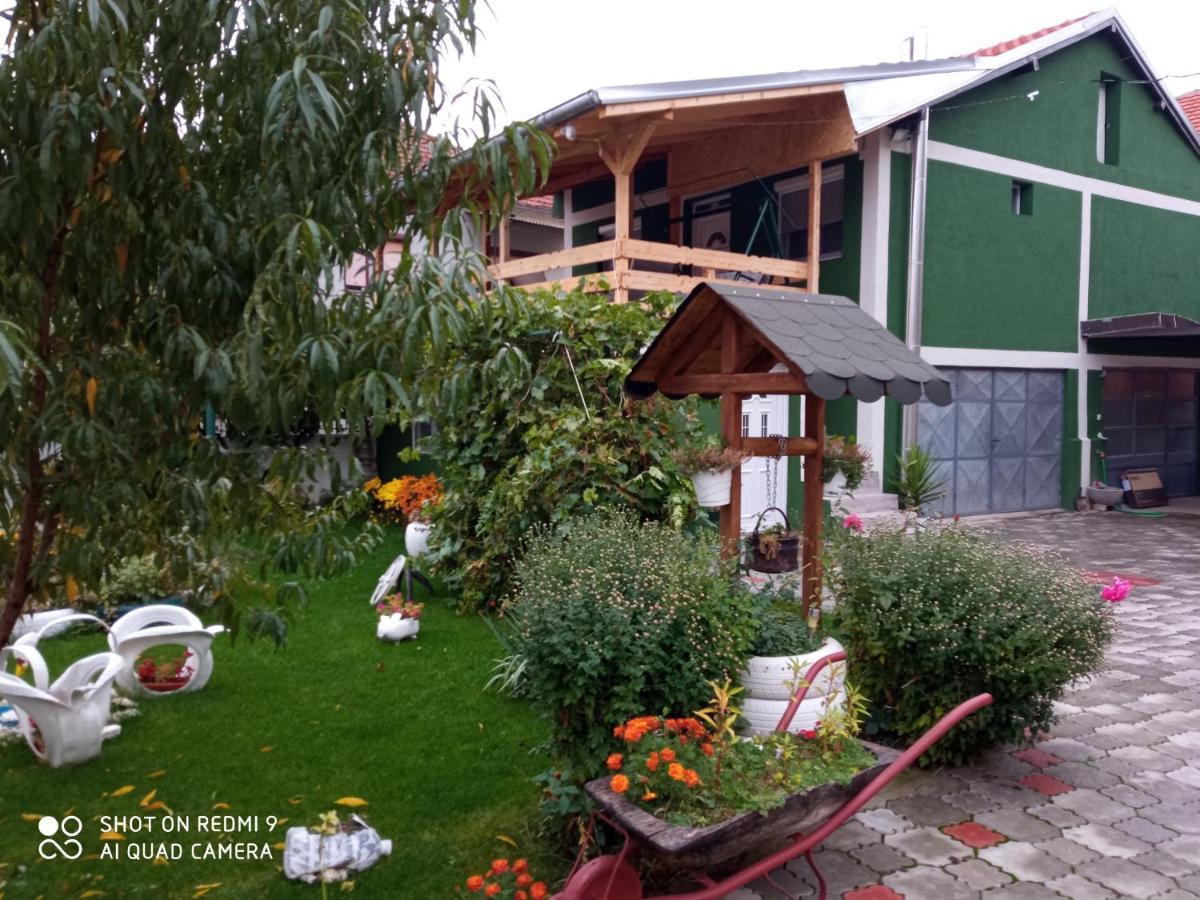 Guest House Vila Banjica Pirot Zewnętrze zdjęcie