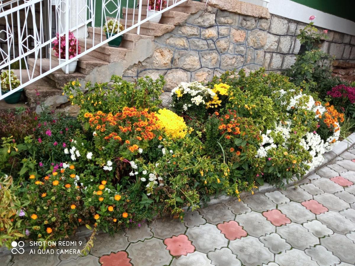 Guest House Vila Banjica Pirot Zewnętrze zdjęcie