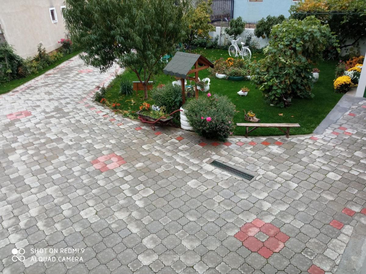 Guest House Vila Banjica Pirot Zewnętrze zdjęcie