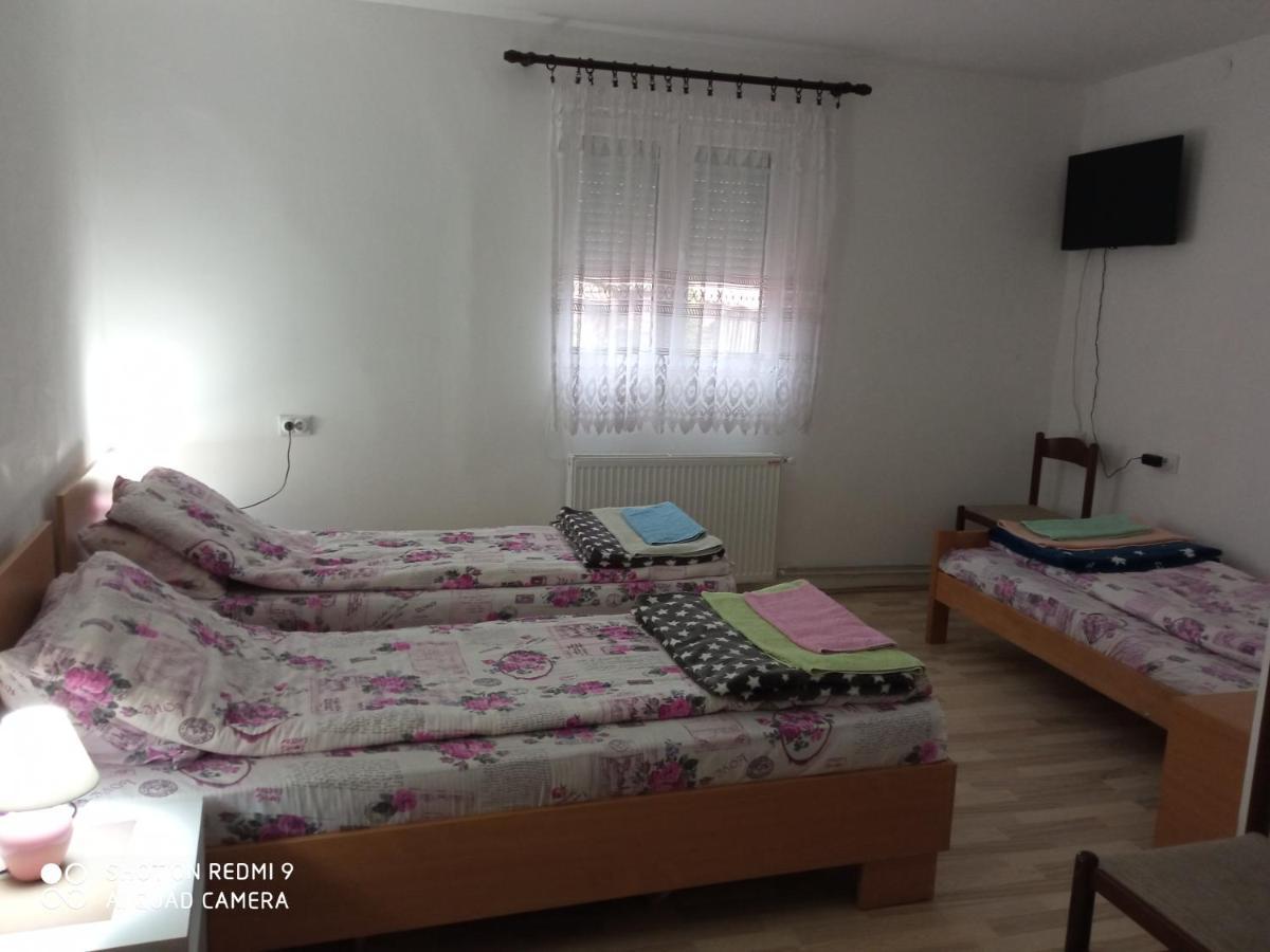 Guest House Vila Banjica Pirot Zewnętrze zdjęcie
