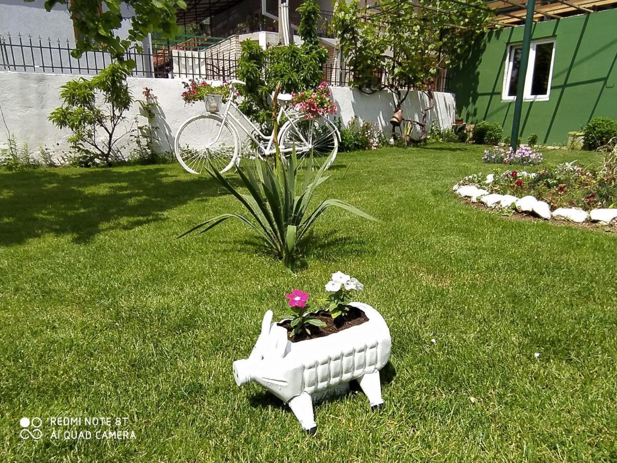 Guest House Vila Banjica Pirot Zewnętrze zdjęcie