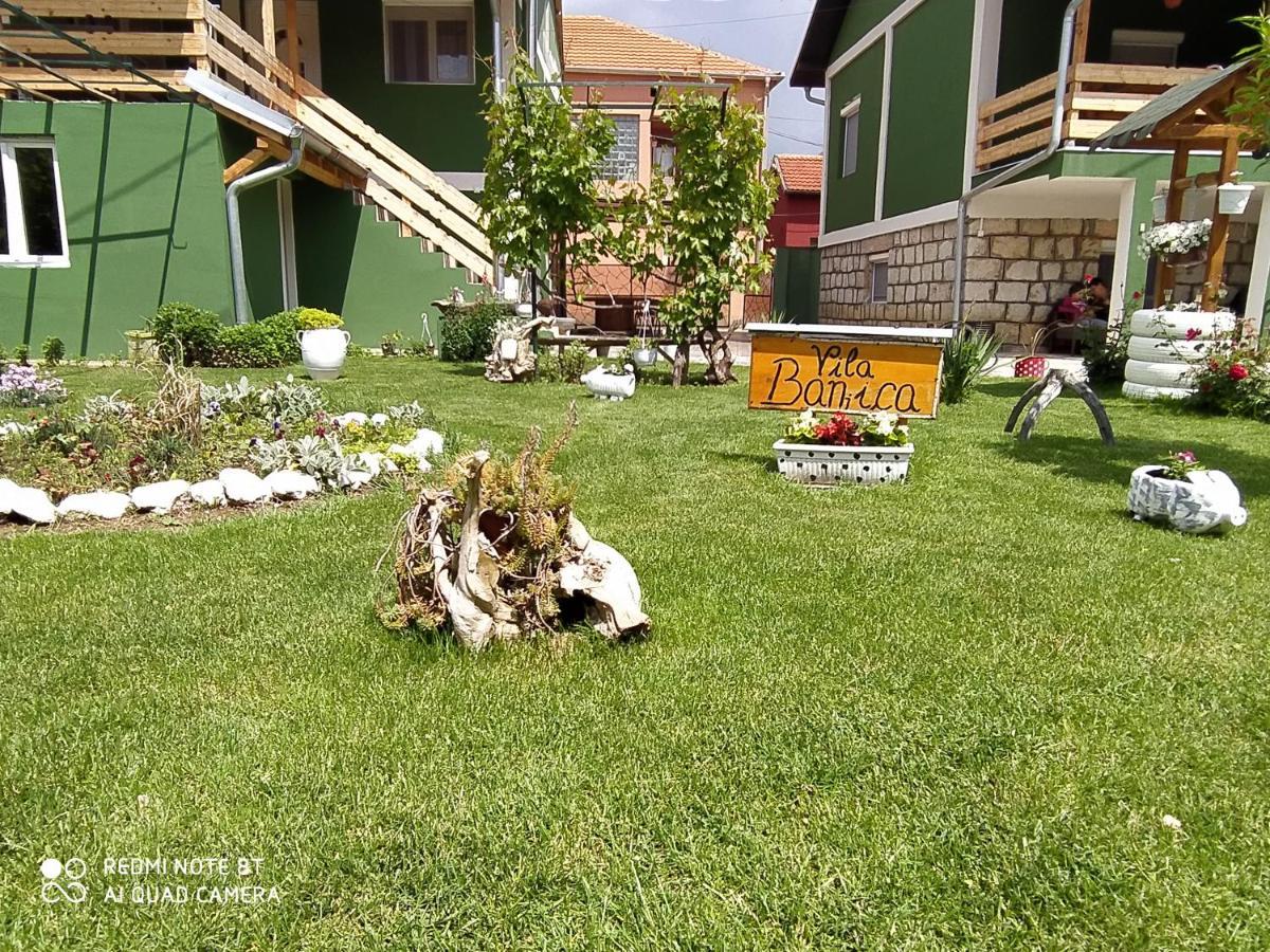 Guest House Vila Banjica Pirot Zewnętrze zdjęcie