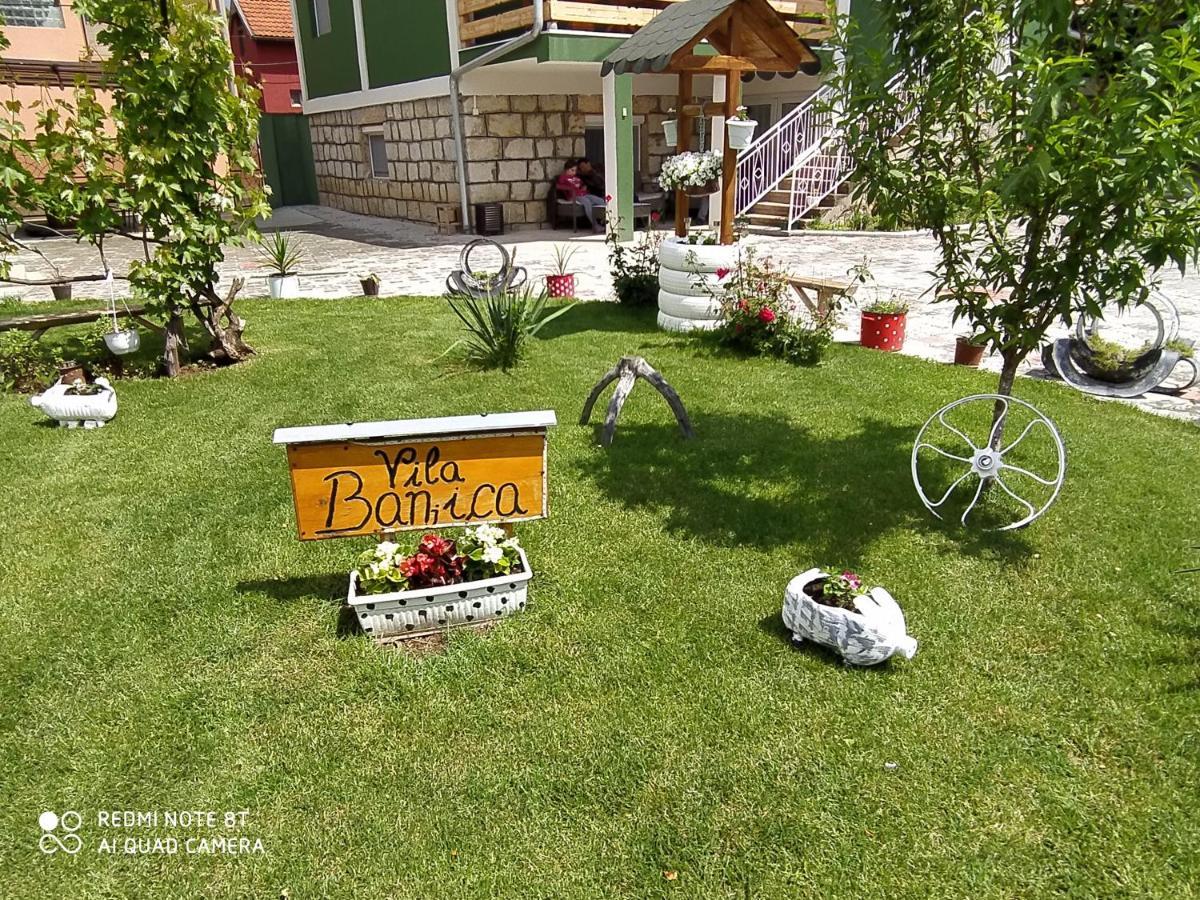 Guest House Vila Banjica Pirot Zewnętrze zdjęcie