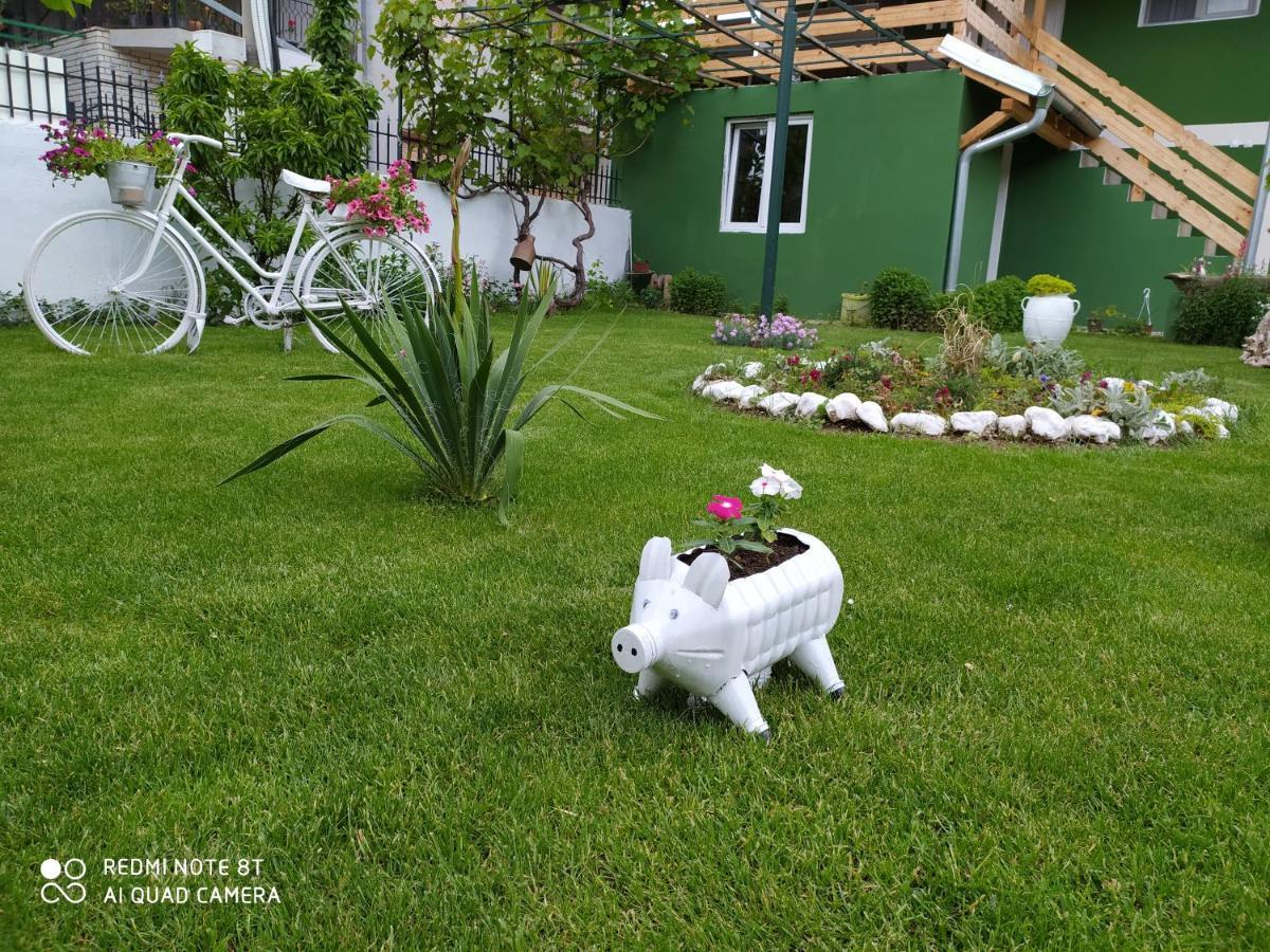 Guest House Vila Banjica Pirot Zewnętrze zdjęcie