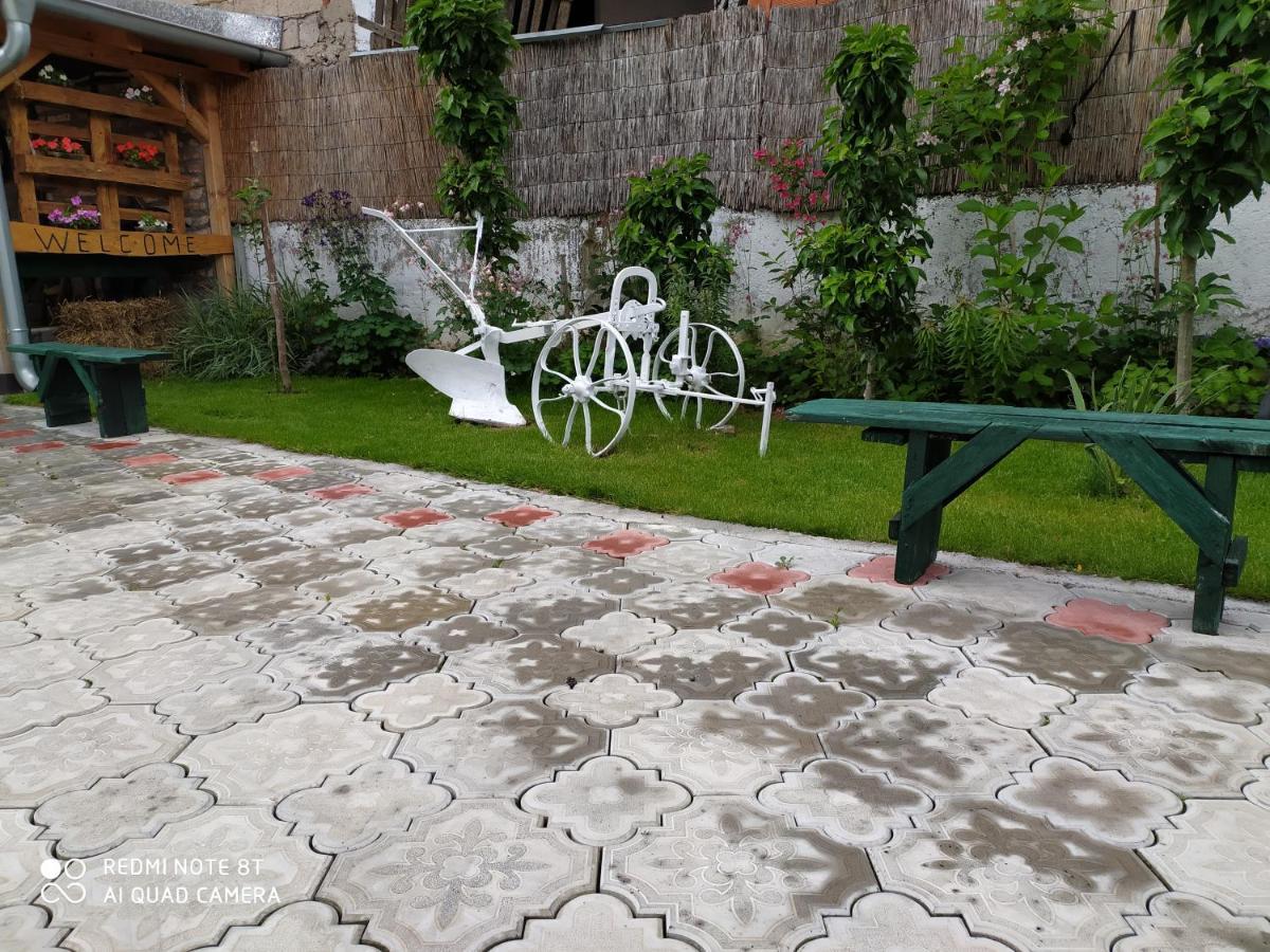 Guest House Vila Banjica Pirot Zewnętrze zdjęcie